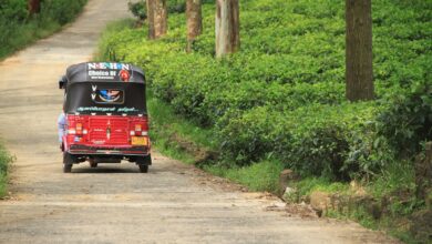 Sri Lanka zelektryfikuje tuk-tuki. Łącznie ponad pół miliona pojazdów 