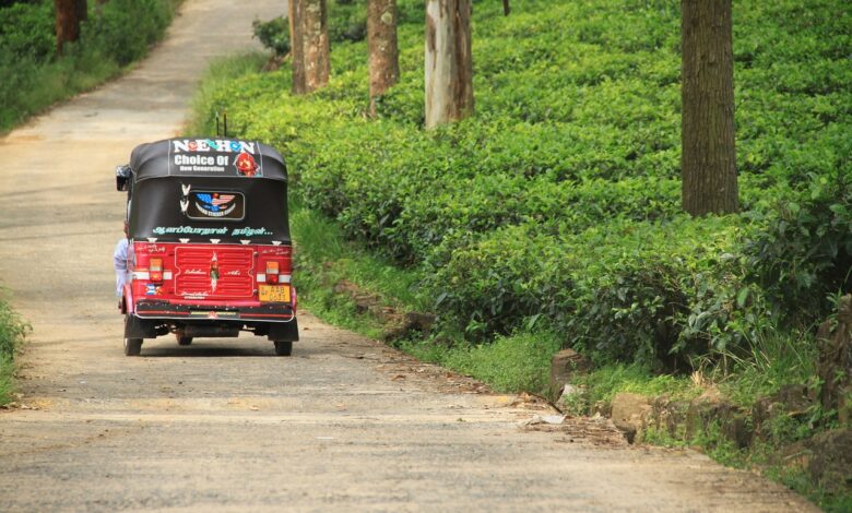 Sri Lanka zelektryfikuje tuk-tuki. Łącznie ponad pół miliona pojazdów 