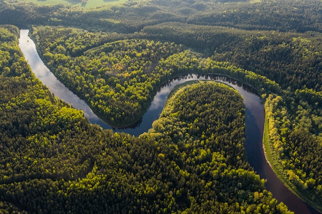 Poziom wody w Amazonii najniższy od 100 lat! Żegluga zagrożona