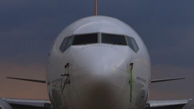 Boeing ma nowe problemy z 737 MAX! Brakuje jednej śrubki…