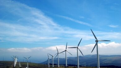 Energa Green Development z nową elektrownią wiatrową